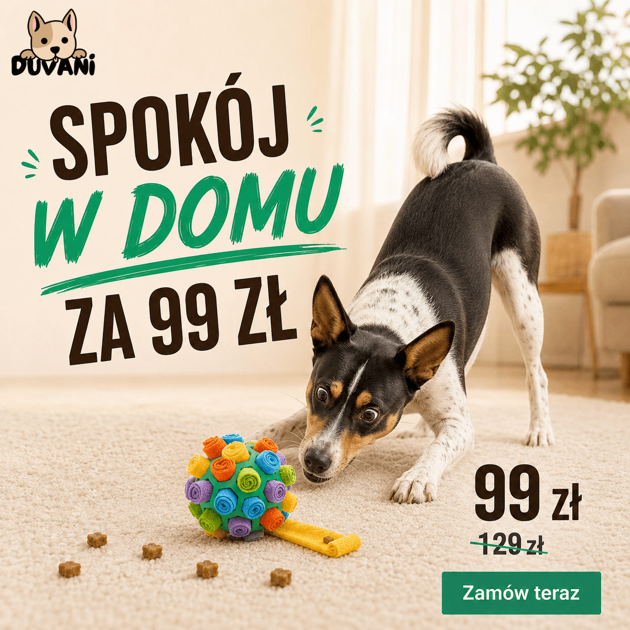 Duvani Węchula - Piłka Węchowa dla Psów na Nudę i Nadmiar Energii
