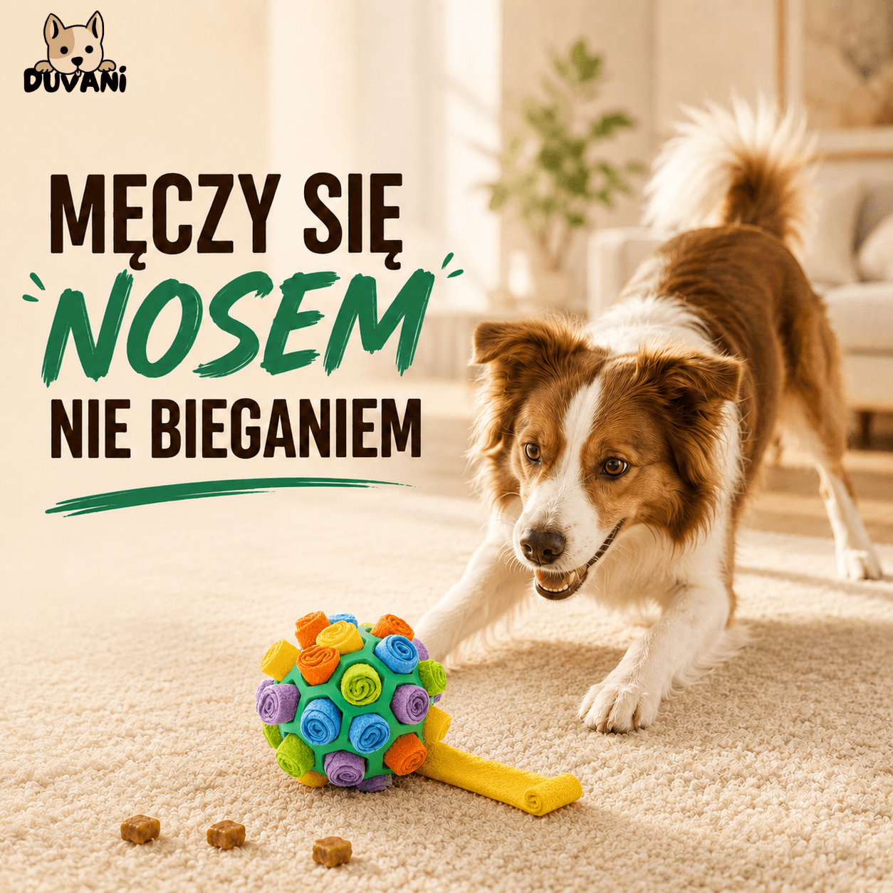 Duvani Węchula - Piłka Węchowa dla Psów na Nudę i Nadmiar Energii