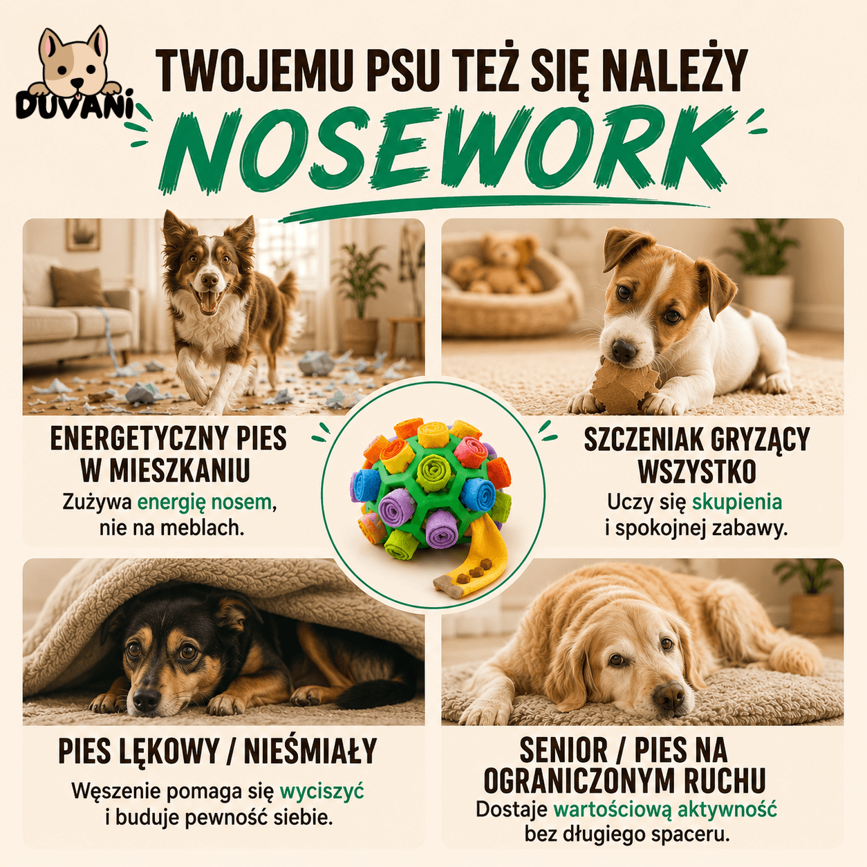 Duvani Węchula - Piłka Węchowa dla Psów na Nudę i Nadmiar Energii